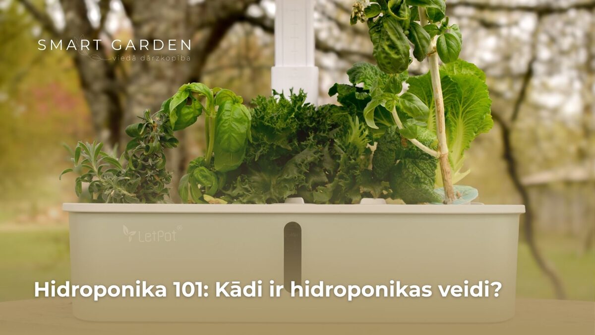 Hidroponikas veidi